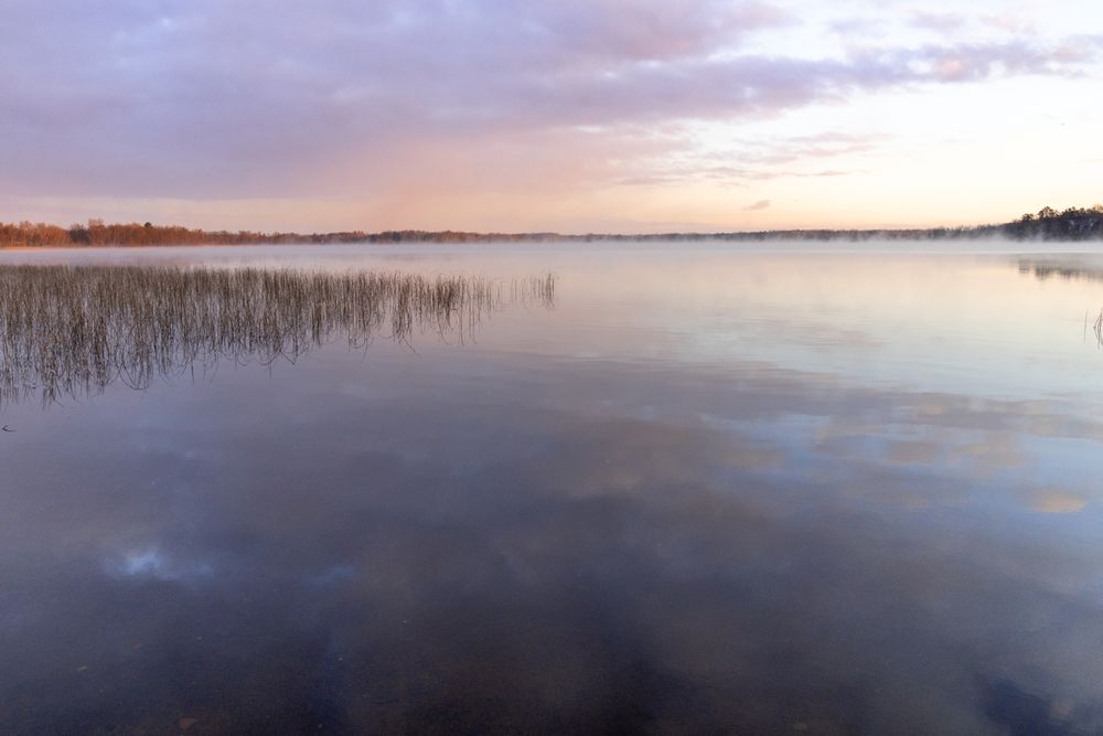 Quiet morning lake