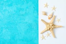 Starfish and seashells on two tone background, space for text and top view. Summer vacation backdrop