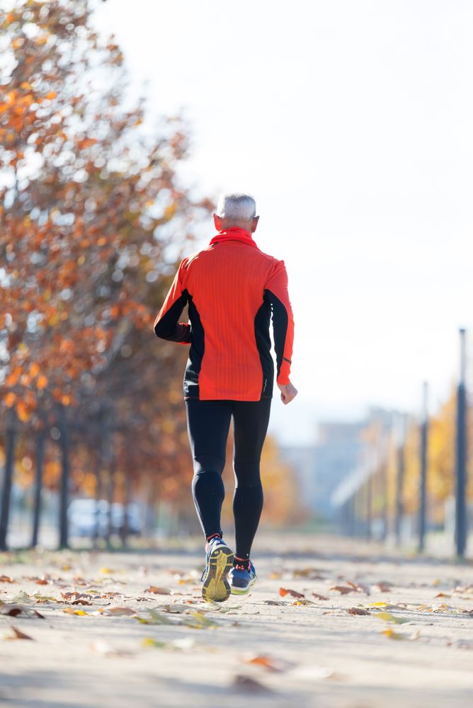 Back of healthy fit older male running in park