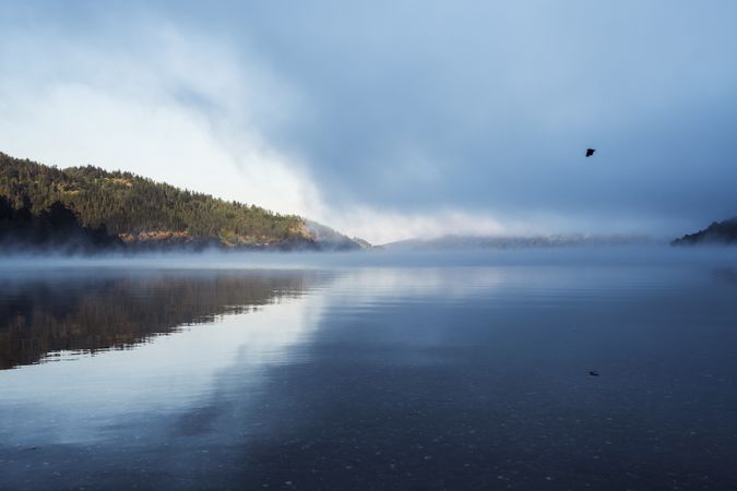Open water surface surrounded by mountains and lonely flying bird in sky