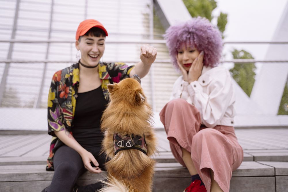 Women in colorful shirt and with pink hair training dog and having fun
