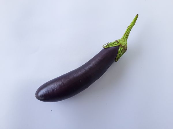 Fresh Whole Eggplant on Plain Background