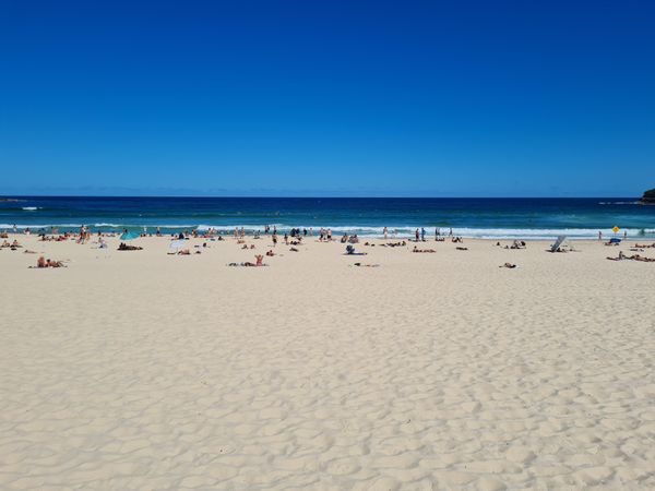 Busy beach on clear day with light sand