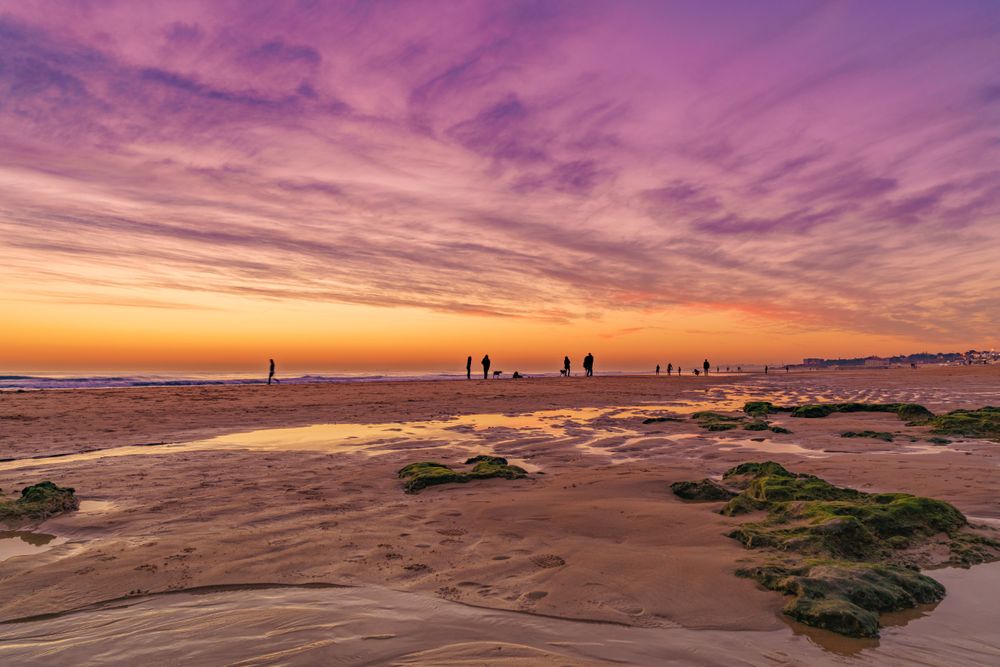 Silhouette of people walking on shore during sunset