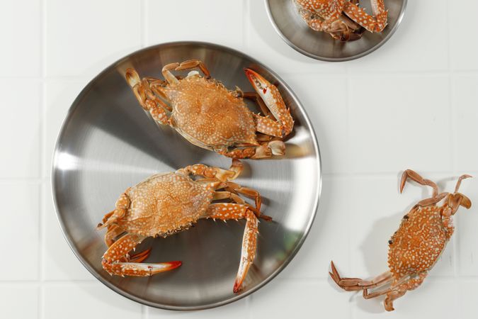 Steamed Flower Blue Crab