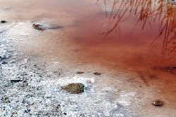 Crystals of salt on pink lake shore