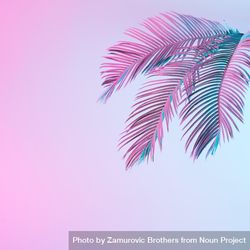 Tropical Palm Leaves In Vibrant Bold Gradient Blue And Pink Holographic ...