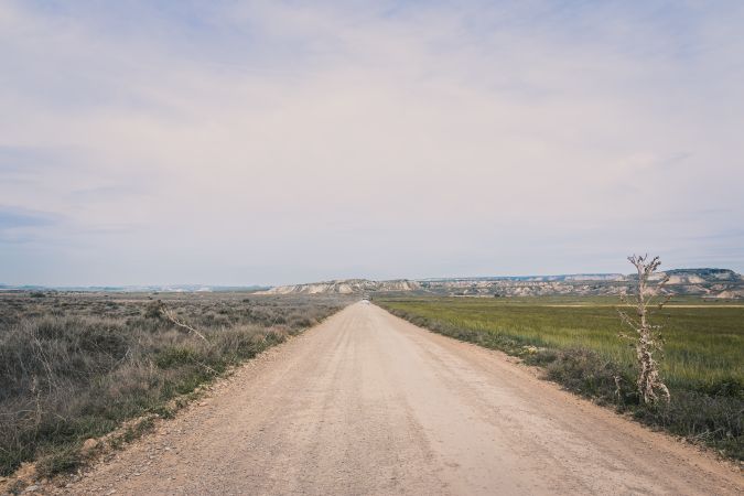 Empty road leading between fields with vegetation