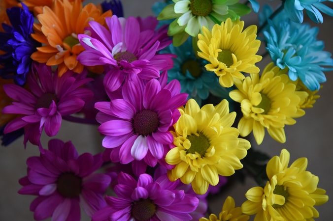 A bouquet of colorful flowers