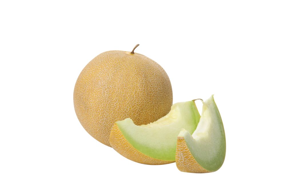 A slice of fresh melon, isolated on plain background