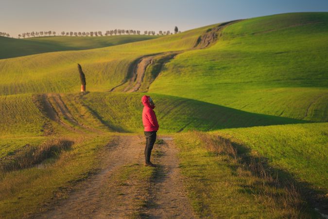 Traveling man walking on green rural road