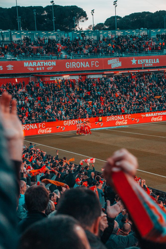 People watching the game in stadium