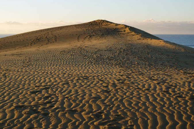 Sandy dunes with traces in sunlight