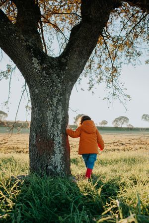 Back view of toddler standing next to a tree