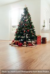 Christmas celebrations with elegantly decorated Christmas tree at home 5aXj8Q