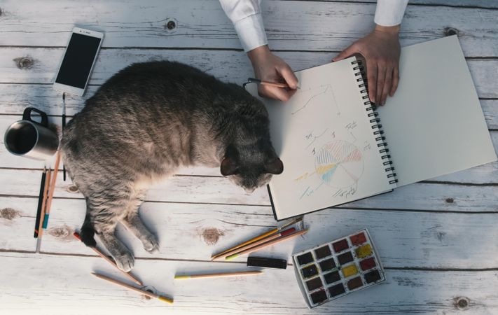 Person drawing pivot tables on notebook while cat sleeping near