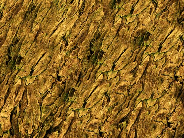 Dark Brown Wood Texture
