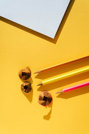Back to school: Pencil and shavings
