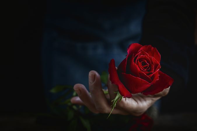 Unrecognizable woman making a bouquet of red roses