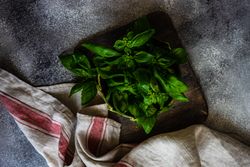 Top view of fresh basil and kitchen on bread board