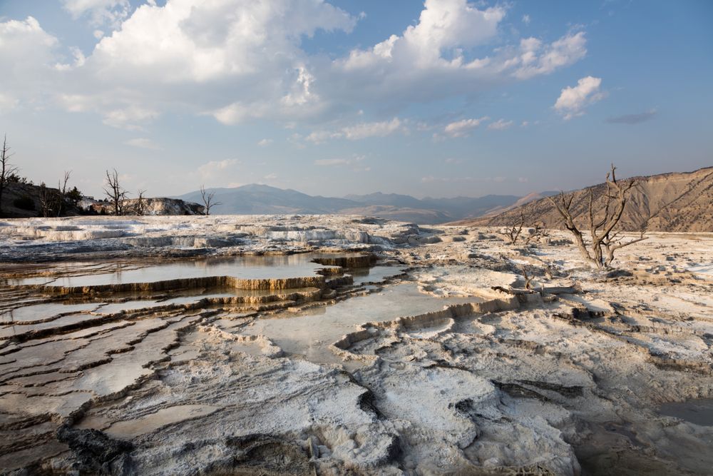 Scene from Yellowstone National Park's Lower Terrace