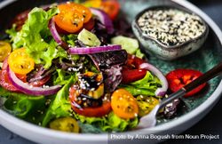 Close up of organic vegetable salad with side of sesame seeds 5kRRML