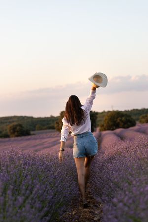 Anonymous woman walking in lavender field