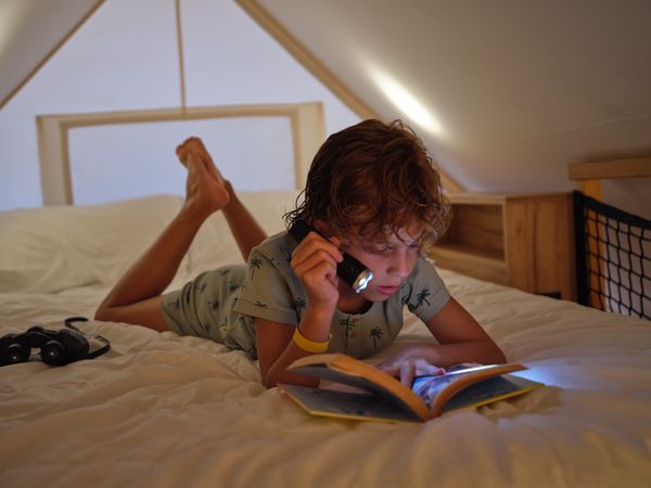Attentive boy reading book on bed