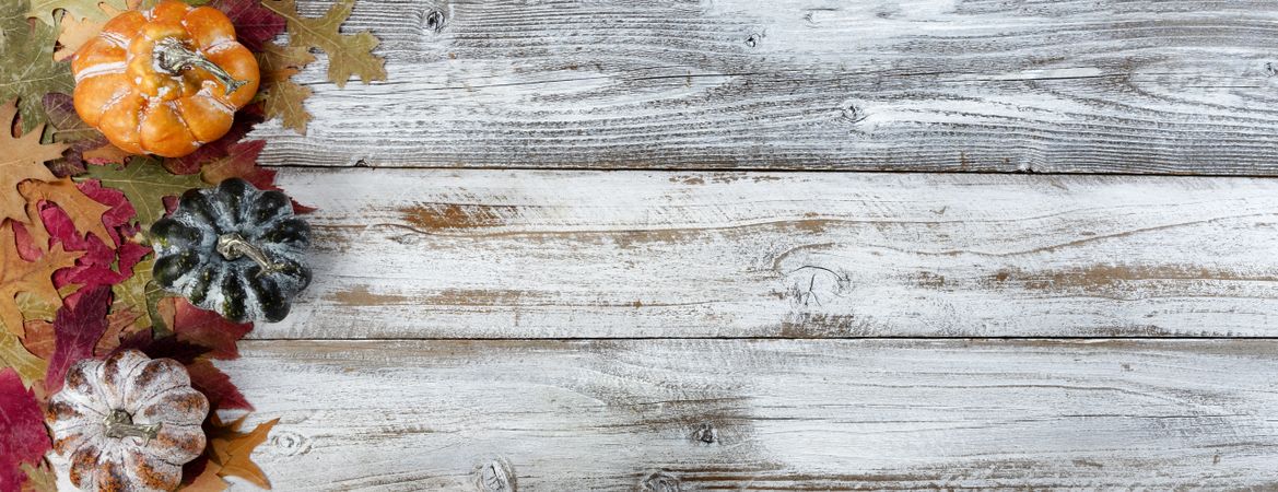 Autumn colorful leaves and gourds on rustic wooden background for the Thanksgiving holiday