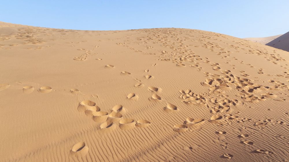 Food Step Pattern At Desert