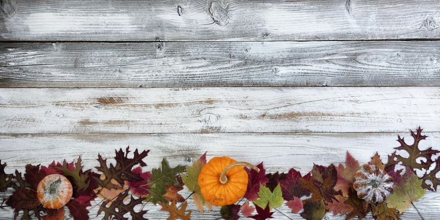 Fall concept background with gourds and leaves on rustic wood