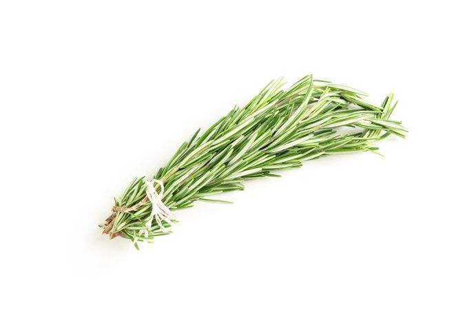 Fresh green rosemary isolated on neutral background