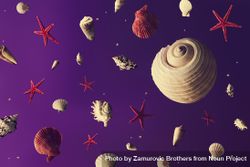Space scene with seashells as stars and planets on purple background 4ZxGA0
