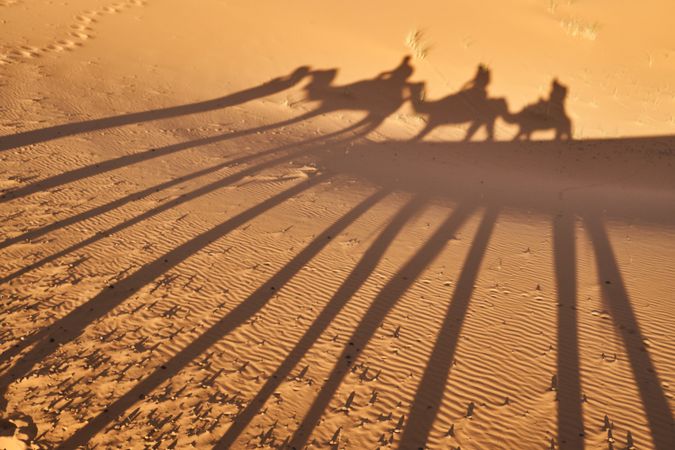Shadow on sand of camels and people