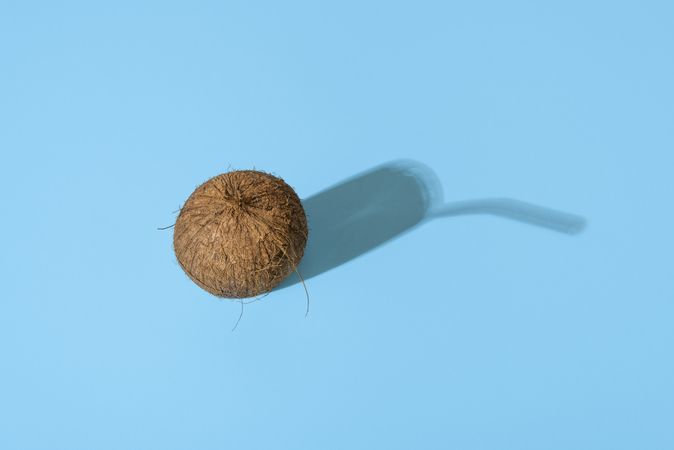 Coconut isolated on a blue background