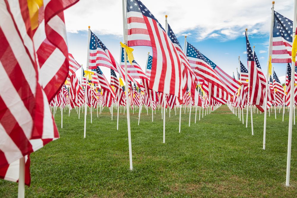 Field of Veterans Day American Flags Waving in the Breeze.