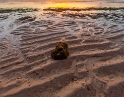 Beach Sand