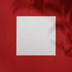 Top view of tropical leaf shadow on red background with paper card