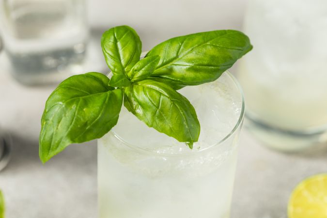Boozy Cold Basil Highball Cocktail