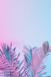 Tropical and palm leaves in vibrant bold gradient holographic colors