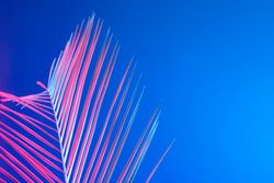 Tropical leaf in bold pink and blue gradient holographic neon colors on bright blue background