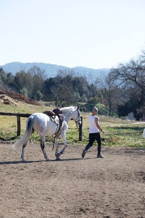 Bald man walking with his horse outside