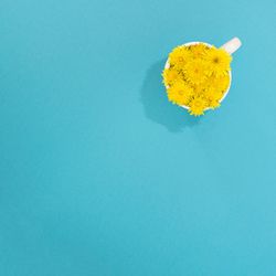 Mug with yellow flowers in water with copy space