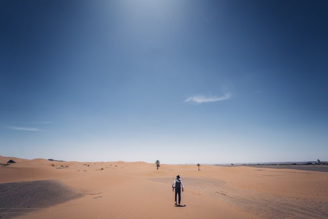 Bearded cowboy in desert