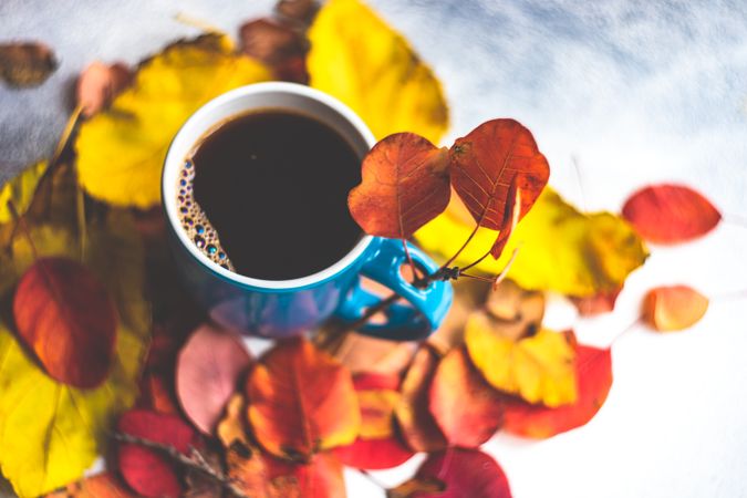 Autumnal cup of coffee