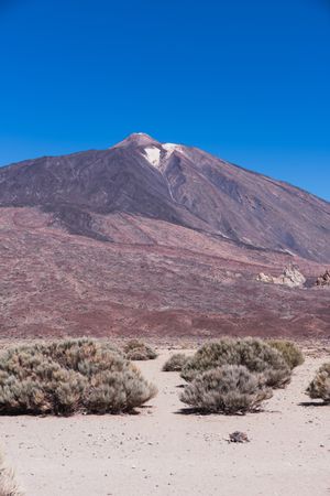 Mountain peak in wild desert area