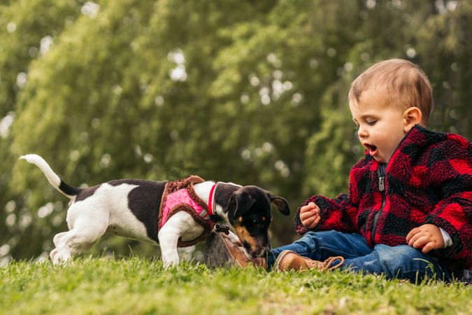 cute baby playing with a dog in a park