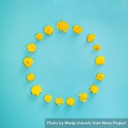 Pattern of yellow spring flowers in circle shape 56eMV0