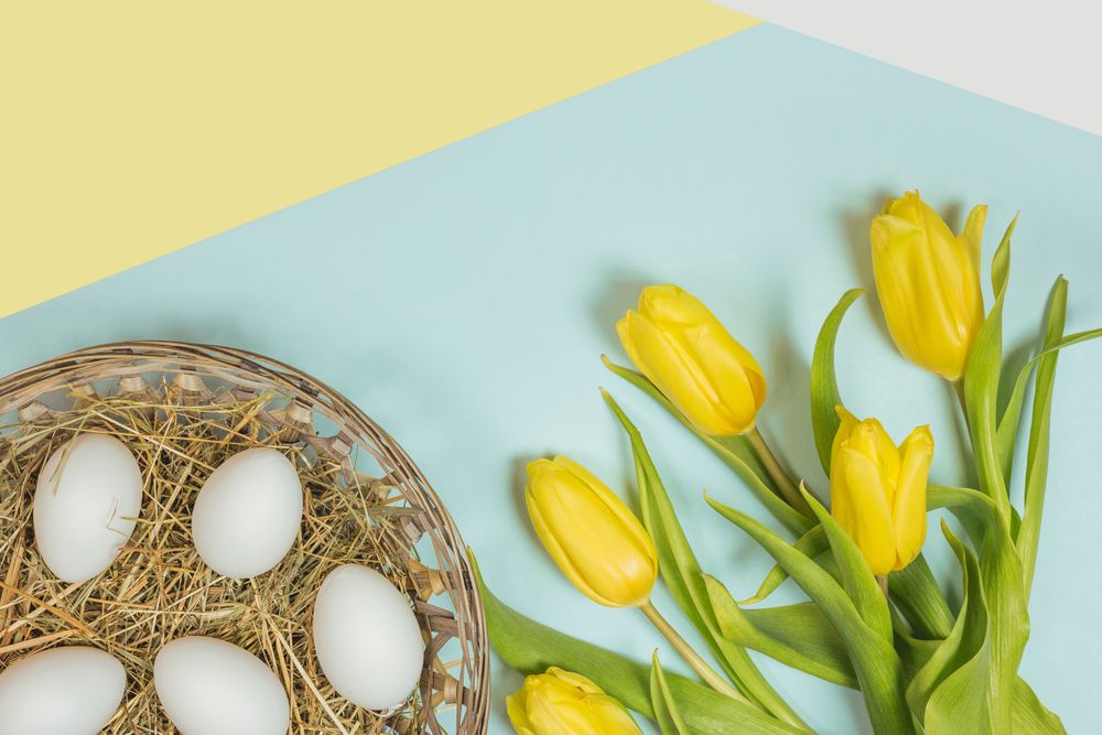 Fresh yellow flowers and easter eggs with green leaves