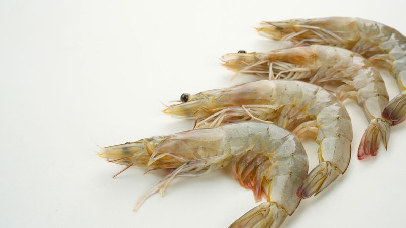 Fresh shrimps isolated on light background, food preparation.